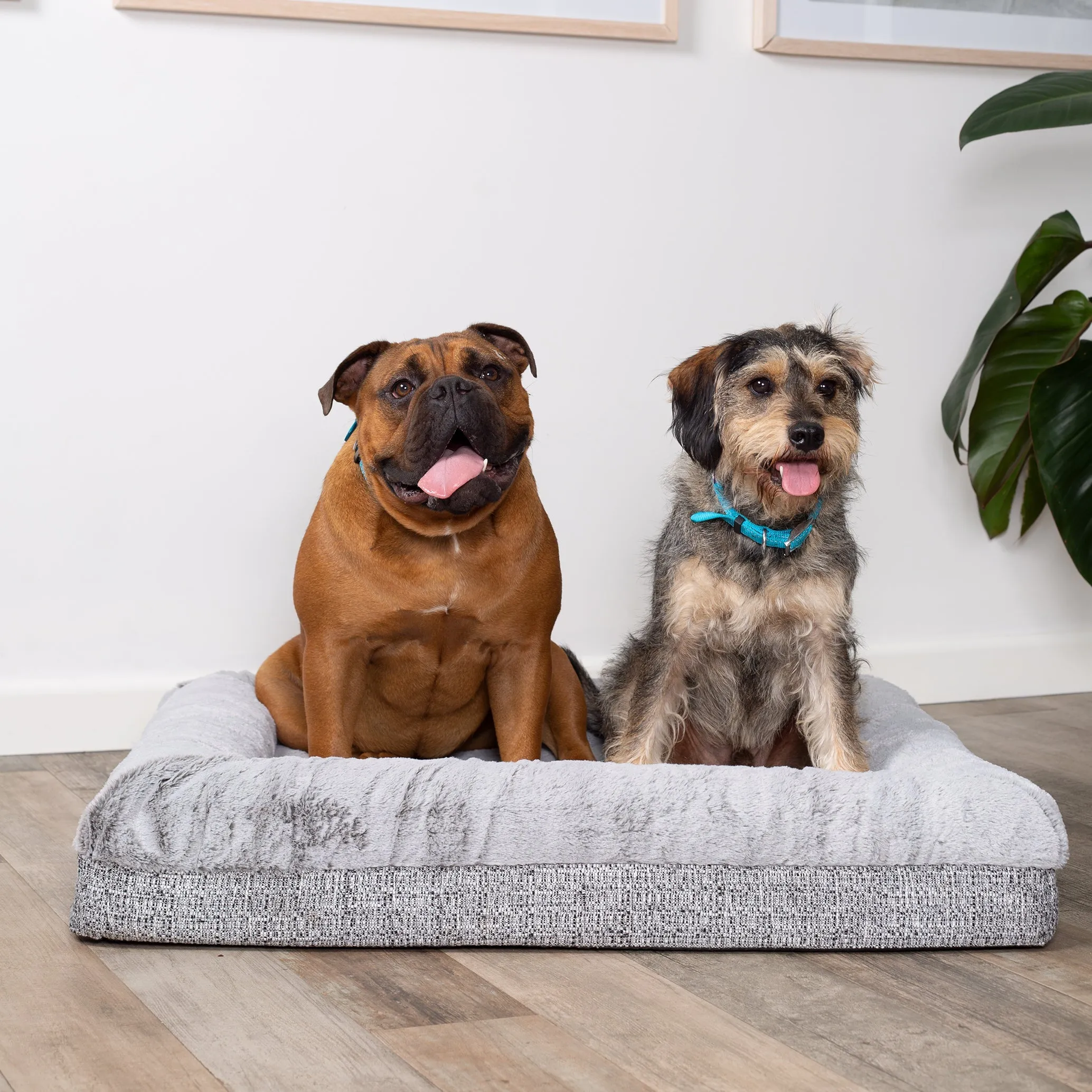 Kazoo Wombat Extra Large Plush Grey Dog Bed