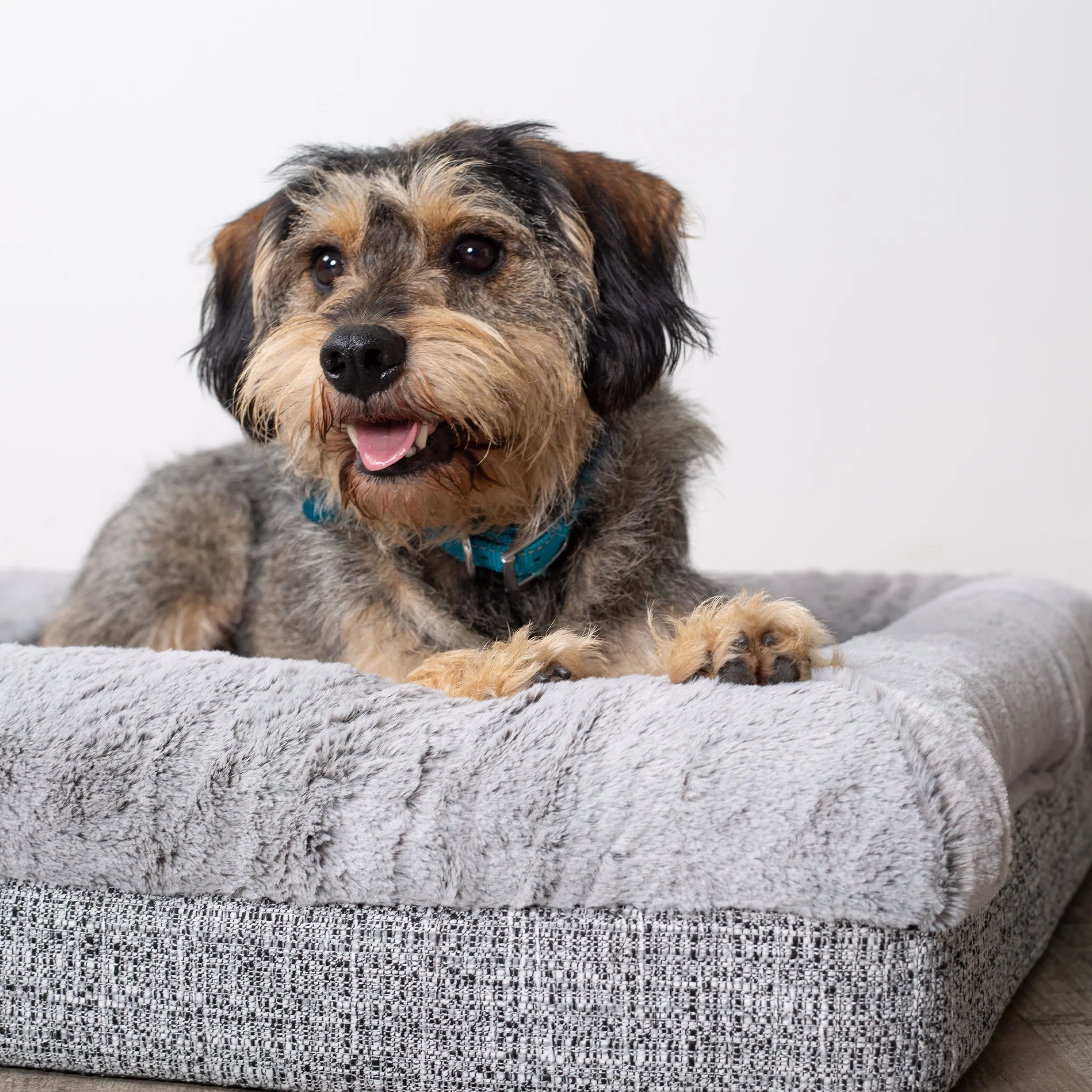 Kazoo Wombat Extra Large Plush Grey Dog Bed