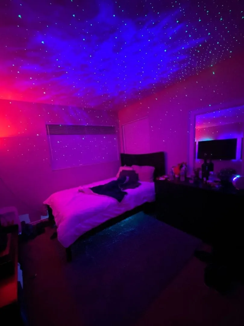 Starlight Projector