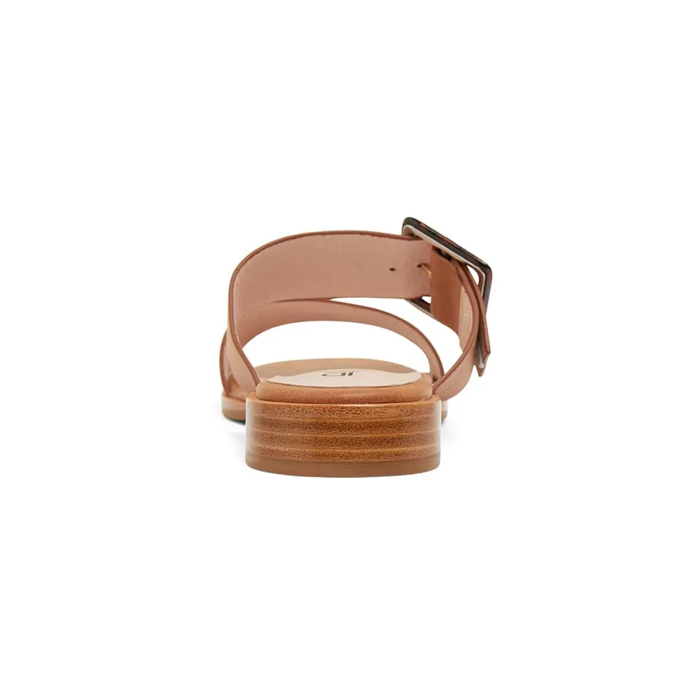 Tanya Slide in Tan Leather